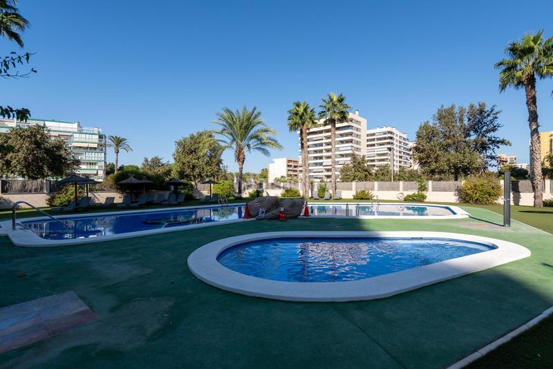 Foto 0d864b70-4ed1-48ed-ae39-fcde8f2fd231. Alquiler piso vivienda en zona PAU 5 en PAU 5 Alicante