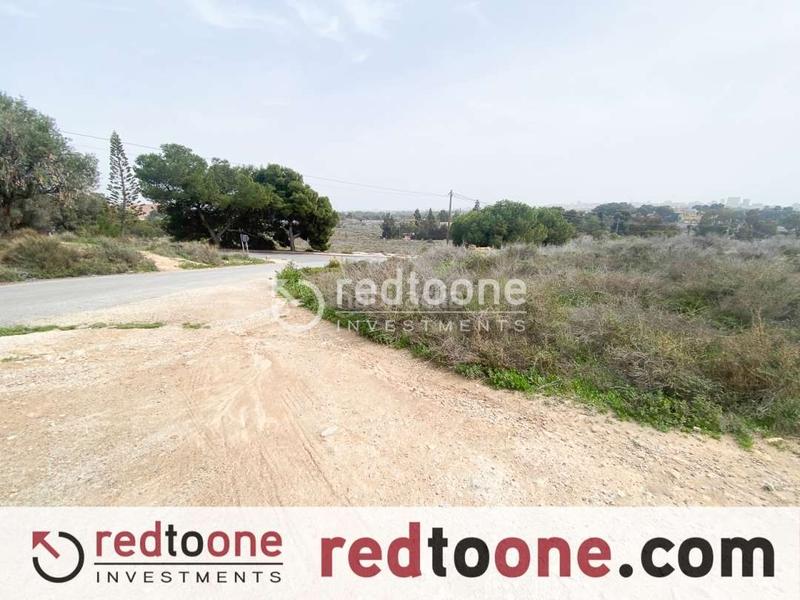 Foto 0901ccd7-e202-4da5-8f68-149fc4c5687f. Finca rústica a Santa Faz Alicante