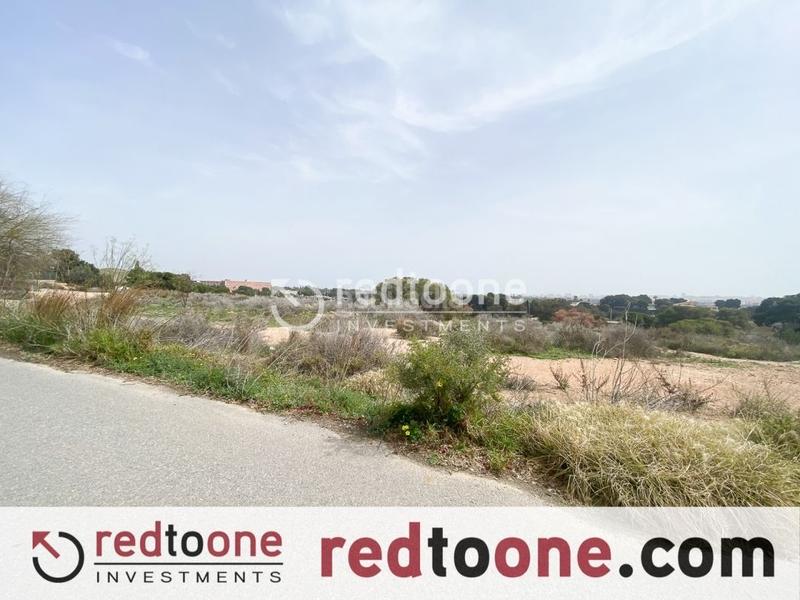 Foto 2352f536-4979-4615-9016-6b2044f4bea9. Finca rústica a Santa Faz Alicante