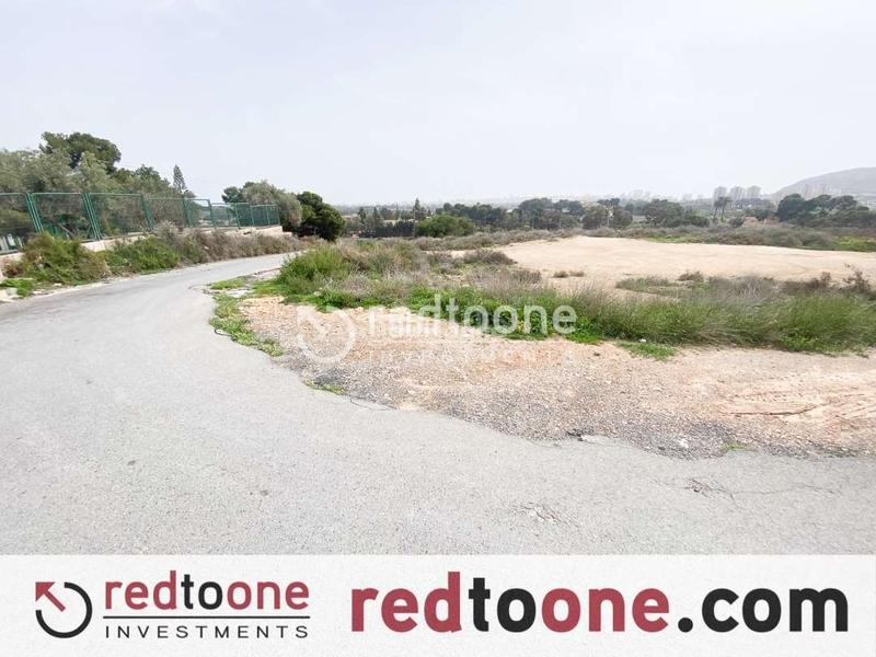 Foto 3a4bb2ac-2a8b-41bd-8ee0-af184f4ea7c4. Finca rústica a Santa Faz Alicante