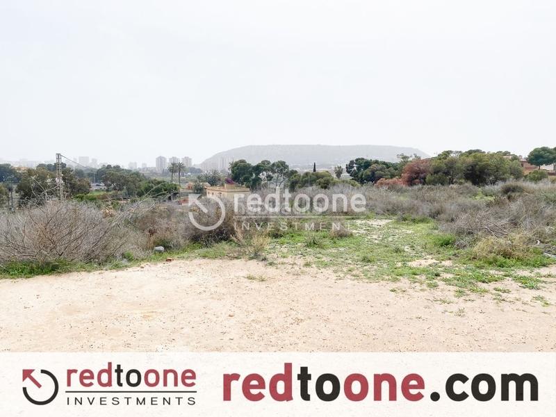 Foto 3d3991e7-57cb-4725-8906-7f27e43f78c4. Finca rústica a Santa Faz Alicante