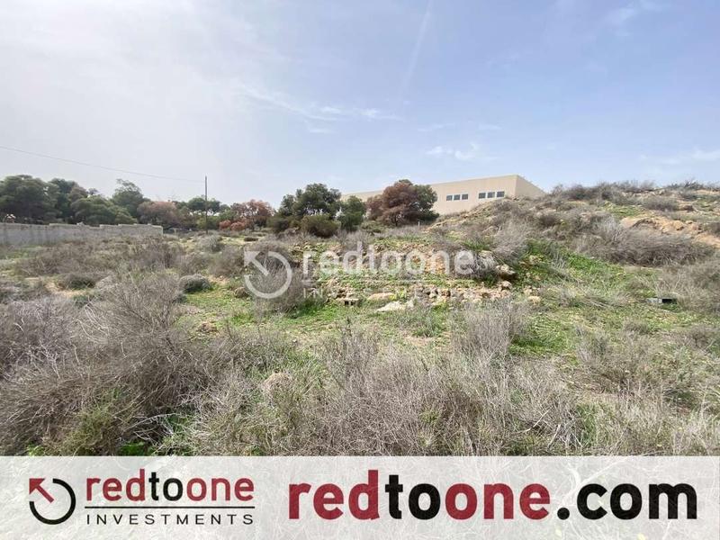 Foto 89de08a3-d872-41f8-84cc-0cf8d6baf97f. Finca rústica a Santa Faz Alicante