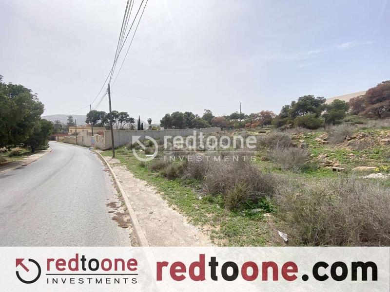 Foto 9c4ff472-a701-4c61-b2ff-bba2538f3181. Finca rústica a Santa Faz Alicante