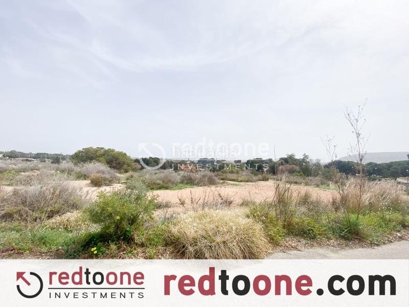 Foto f71c82cc-5ba4-4367-afe3-66c8ca5a1c1e. Finca rústica a Santa Faz Alicante