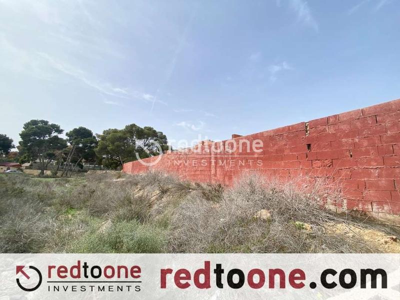 Foto fed71cb2-a5d0-4e58-ae94-b516c1dc0949. Finca rústica a Santa Faz Alicante