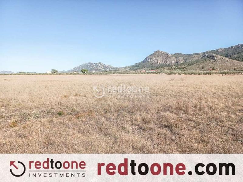 Foto d8f9077d-cb50-488f-80c0-3cf8c5fa3e9d. Finca rústica terreno de suelo rústico en venta con uso agrárío en Villena