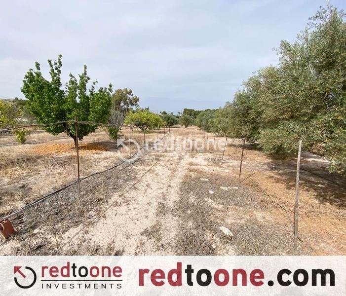 Foto 5dcfe6e5-4c22-471a-abd0-f78d31869d81. Chalet  muy próximo al núcleo urbano en Novelda