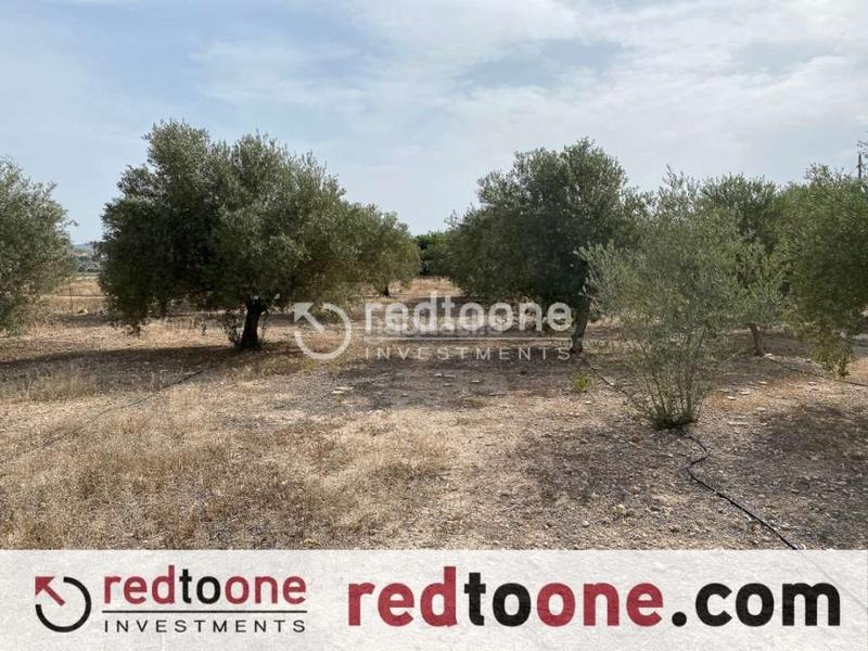 Foto dc86a2d3-f4c4-46e9-af08-c95b06d9f9ab. Chalet  muy próximo al núcleo urbano en Novelda