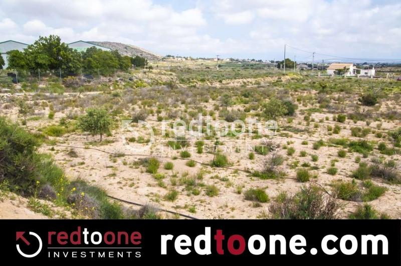 Foto 81435d02-1d0c-4184-bc93-56c3b4921a15. Finca rústica parcela en la galia en Jubalcoi Elche / Elx
