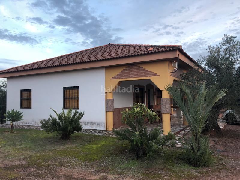 Foto 41aa649e-e710-4ee8-9f52-d7813776e7fe. Fondo rustico in Montoro