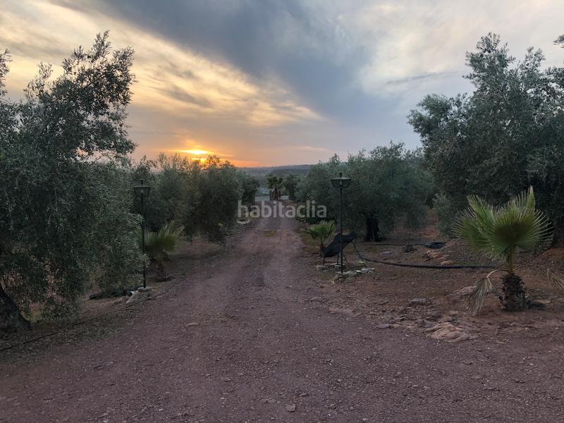 Foto 48273440-abc4-47d0-a2ff-977d4607b22e. Fondo rustico in Montoro