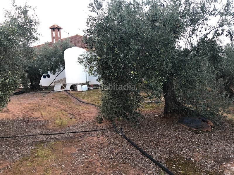 Foto bc8adf1a-86b7-4b1c-86b4-d9f30ae6d8dc. Fondo rustico in Montoro