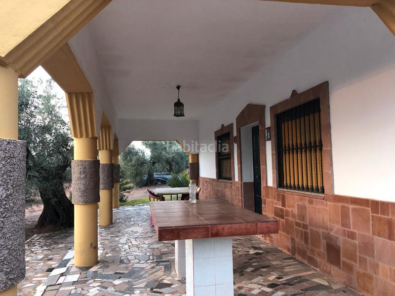 Foto e1a28ed6-a084-4a2e-9e6a-562bc83113e1. Fondo rustico in Montoro