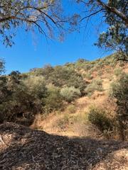 Finca rústica a Villafranca de Córdoba. Parcela rustica de olivar de 17.000 m2
