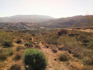 Finca rústica a Camino pago de los puntales de la rambla de mairena, ango 0