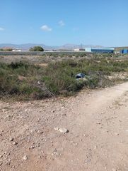Finca rústica a Retamar. Oportunidad en el 21 almería! terreno rústico con excelente disp