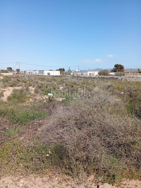 Foto 0c7c0f4c-1418-4443-ab0c-1a11dda2974f. Finca rústica a Retamar Almería