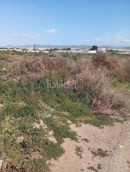 Foto 30c05b5b-d893-4186-9f63-d66150f5c913. Finca rústica a Retamar Almería