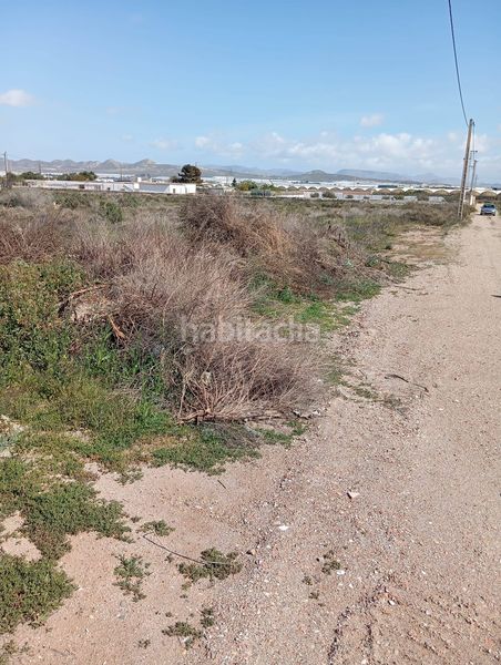 Foto b965fc31-94c8-4c97-9330-5f65d30a0f15. Finca rústica a Retamar Almería