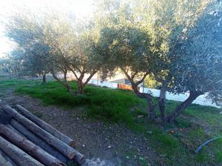 Terreno residenziale  Calle del cerrillo páez 5. Terreno urbano en el centro de celín
