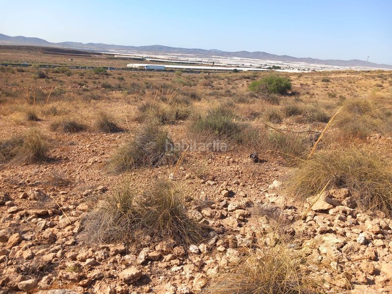 Foto 013b233f-0484-46a0-93c4-471d94008b1b. Finca rústica a San Isidro - Campohermoso Níjar