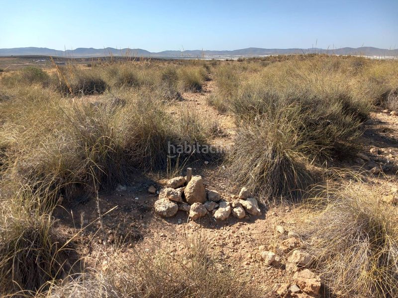 Foto 06fe1684-d637-4615-917a-072e0b7d5695. Finca rústica a San Isidro - Campohermoso Níjar