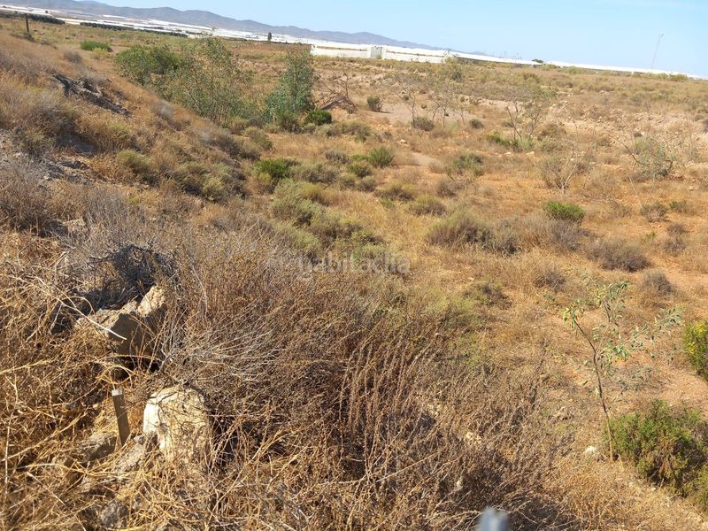 Foto 07276a56-e083-485d-8ef3-459ba8e94c9b. Finca rústica a San Isidro - Campohermoso Níjar