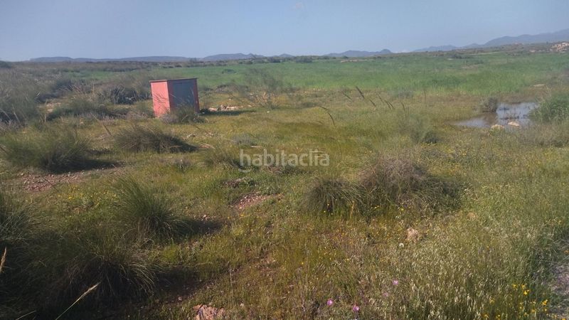Foto 1ee9aff4-527b-4e7f-8602-b26bc89f9198. Finca rústica a San Isidro - Campohermoso Níjar