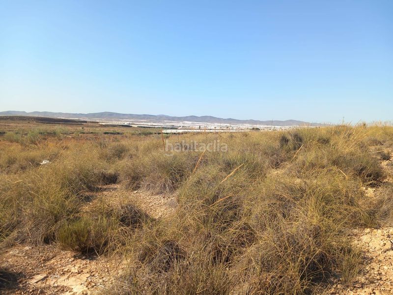 Foto 1f94d266-6b43-4494-a42a-ac1497916ed8. Finca rústica a San Isidro - Campohermoso Níjar