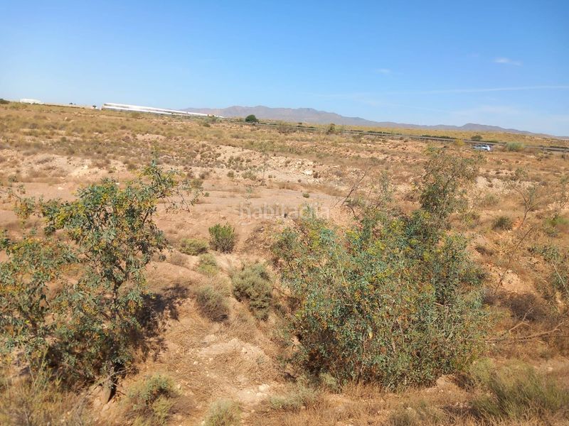 Foto 43bd3014-cbe3-4249-abba-c903733d1759. Finca rústica a San Isidro - Campohermoso Níjar