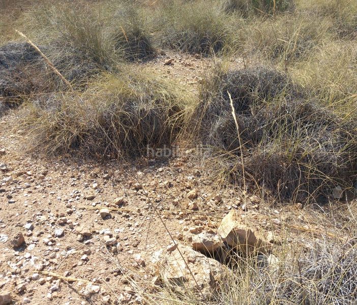Foto 4e236bb7-d494-4c03-b09c-c69a0909e5b0. Finca rústica a San Isidro - Campohermoso Níjar