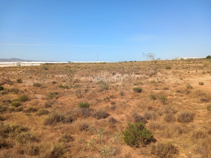 Foto 57531a3f-09d9-47ea-9a62-f5858c2b9e33. Finca rústica a San Isidro - Campohermoso Níjar
