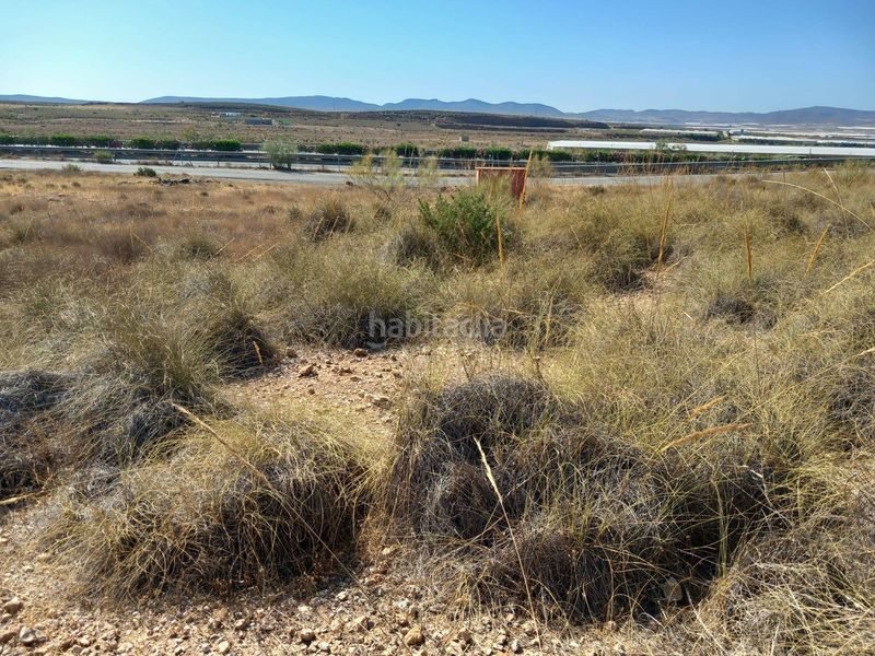 Foto 6334f372-295e-4e5f-8918-7d65f1dd066e. Finca rústica a San Isidro - Campohermoso Níjar