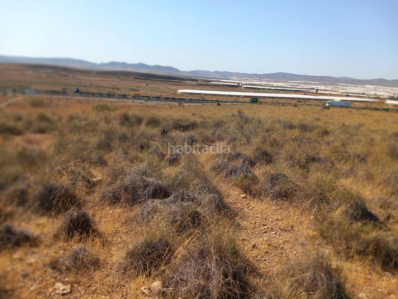 Foto 694b5d47-f7d0-47cd-9600-527f13095a39. Finca rústica a San Isidro - Campohermoso Níjar