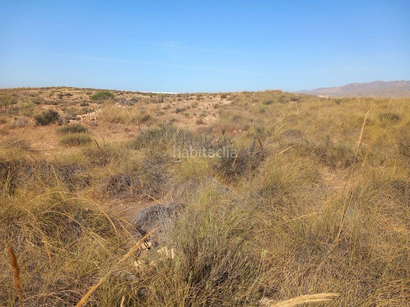 Foto 6df370b6-a1de-4b15-9092-79b5e4e54e3d. Finca rústica a San Isidro - Campohermoso Níjar