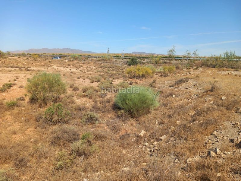Foto 99157ad5-fd34-4fda-bec5-280398d70cb7. Finca rústica a San Isidro - Campohermoso Níjar