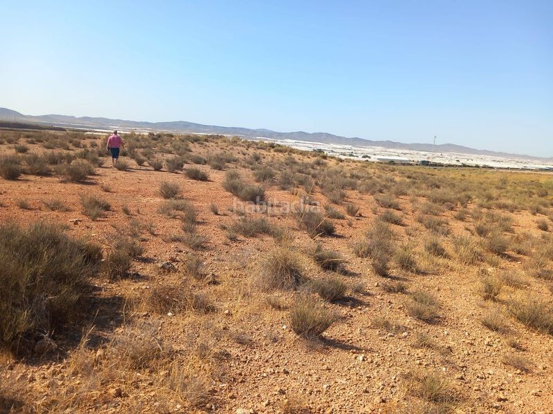 Foto a8bc890e-5027-4178-b111-8e34852d01f4. Finca rústica a San Isidro - Campohermoso Níjar
