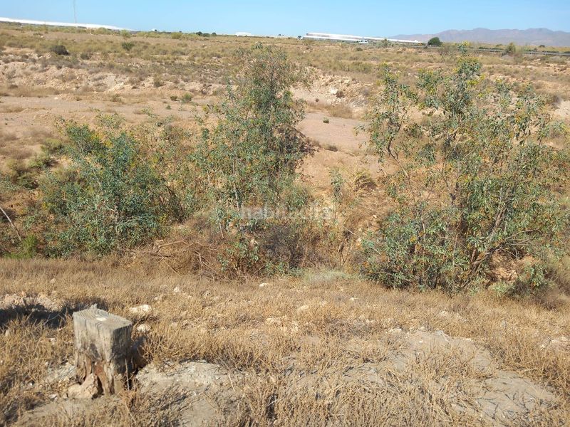 Foto ae9a8afb-e61a-4d0b-9fdb-e5bf3b0fa375. Finca rústica a San Isidro - Campohermoso Níjar
