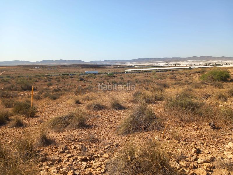 Foto b7b7a896-7ac5-4218-a2fc-cdbaa38ce687. Finca rústica a San Isidro - Campohermoso Níjar