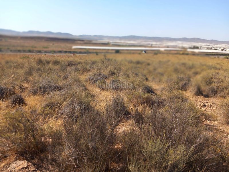 Foto c3bb200e-7033-41a7-86df-626327c72881. Finca rústica a San Isidro - Campohermoso Níjar