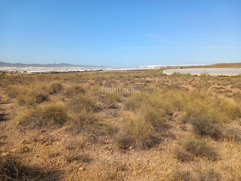 Foto d1d57f44-c2da-4ff1-985f-962f4a6978ad. Finca rústica a San Isidro - Campohermoso Níjar
