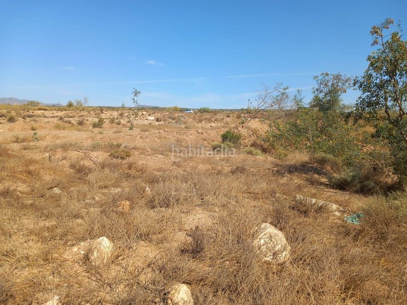 Foto e2ad7285-b3cf-4a2c-a50b-52bcc89b7cb9. Finca rústica a San Isidro - Campohermoso Níjar