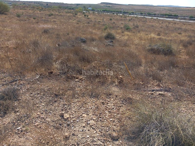 Foto e5d43977-bc1b-46ff-9bf0-9041926fee02. Finca rústica a San Isidro - Campohermoso Níjar