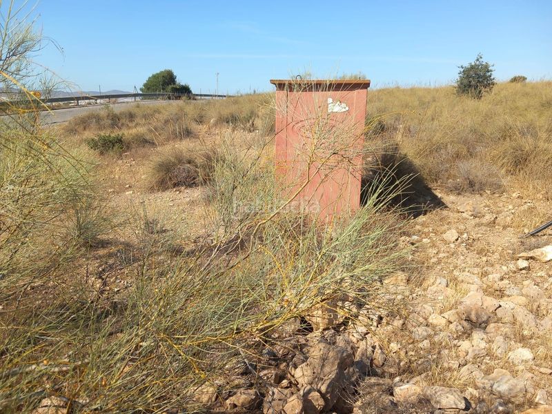 Foto e910154e-7928-49f0-ae9a-a54c3ec6a70c. Finca rústica a San Isidro - Campohermoso Níjar