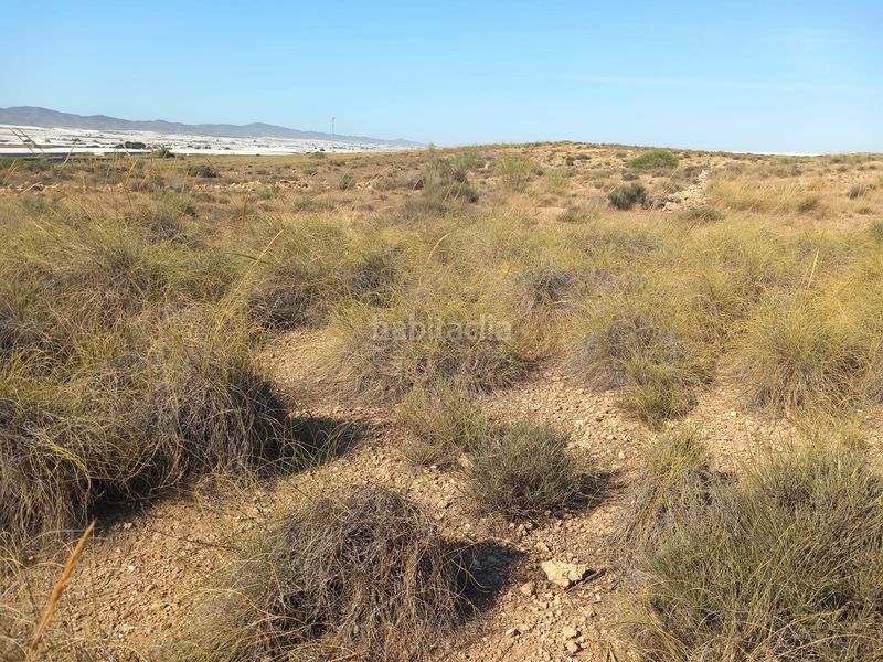Foto f3adc249-0f95-40a1-9c1a-327c96cd012c. Finca rústica a San Isidro - Campohermoso Níjar