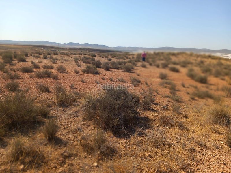 Foto f65201b3-7f40-403f-a1bb-084af2a20345. Finca rústica a San Isidro - Campohermoso Níjar