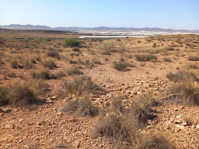 Foto f667edd5-d7c1-4d0b-a78e-71eb51f6d13f. Finca rústica a San Isidro - Campohermoso Níjar