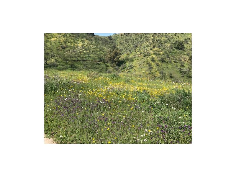 Foto 8c68b356-beae-4d85-b401-b853f1743cde. Casa a Casabermeja