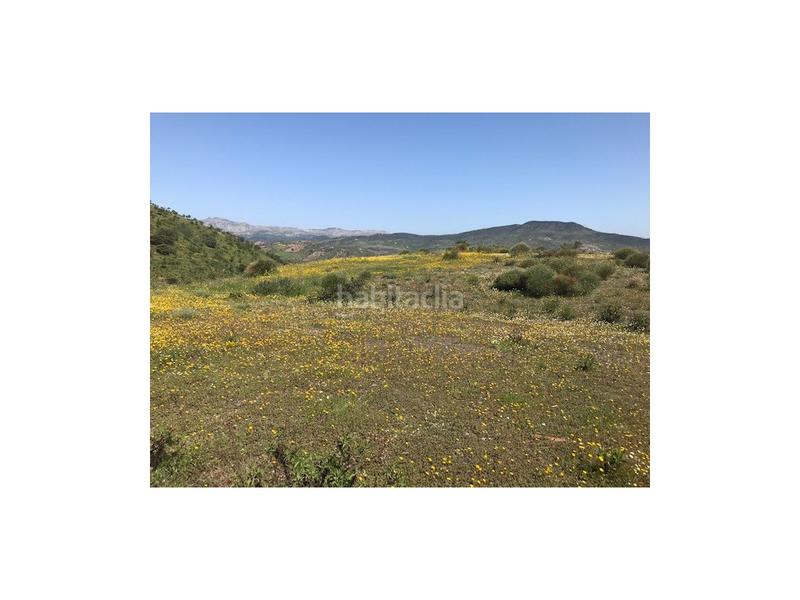 Foto c97eb116-1480-49af-94c7-daaa442e0a40. Casa a Casabermeja