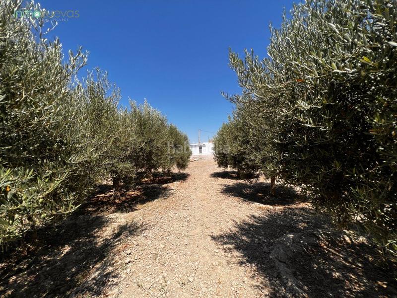 Foto 85133340-67f5-4fb0-83df-16c1e82de40b. Mas avec parking dans Burjulu - La Mulería Cuevas del Almanzora